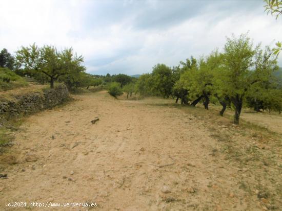 Terreno con vistas ideal para construir - CASTELLON