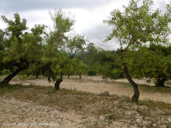 Terreno con vistas ideal para construir - CASTELLON