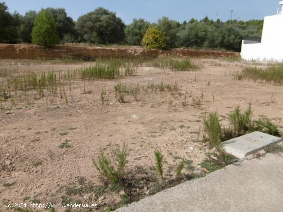 SOLAR ZONA INSTITUTO - CASTELLON