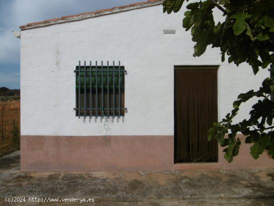 FINCA RUSTICA CON CASETA Y AGUA POTABLE - CASTELLON