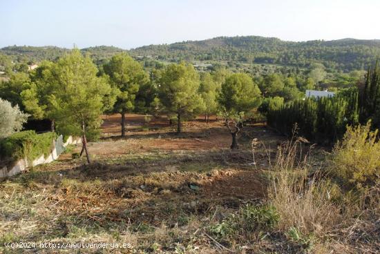  PARCELA EN URBANIZACION LA COMA CON VISTAS INIGUALABLES AL CAMPO DE GOLF Y LA MONTAÑA. - CASTELLON 