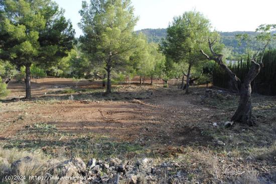 PARCELA EN URBANIZACION LA COMA CON VISTAS INIGUALABLES AL CAMPO DE GOLF Y LA MONTAÑA. - CASTELLON