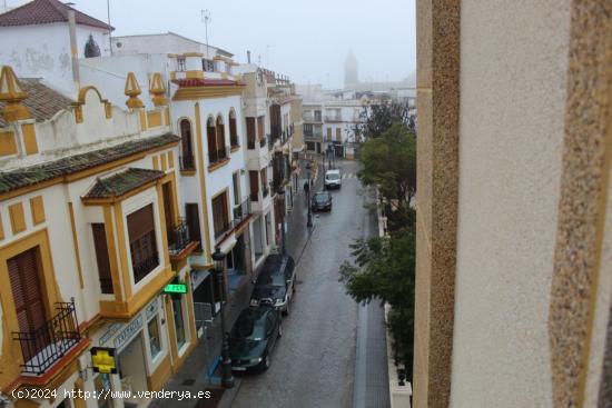 MAGNIFICO PISO EN CALLE MORALEJO. - CORDOBA