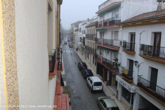 MAGNIFICO PISO EN CALLE MORALEJO. - CORDOBA