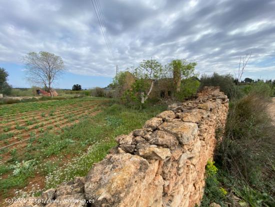 Finca a rehabilitar con agua y luz en entorno idílico - TARRAGONA