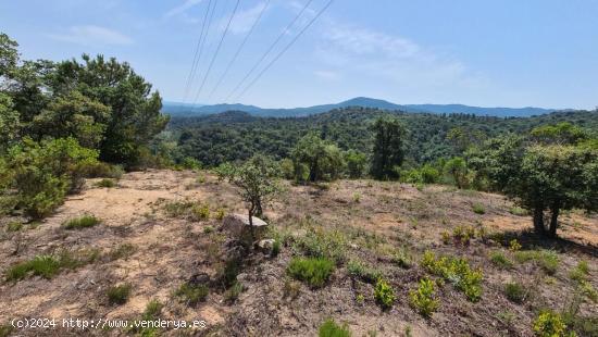  GUALBA: FINCA RÚSTICA EN VENTA CON MASIA EN RUINAS - BARCELONA 