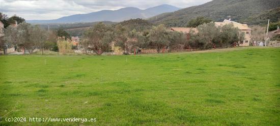 CAMPINS (PUEBLO): TERRENO URBANO NO CONSOLIDADO APTO PARA 3 UNIFAMILIARES AISLADAS - BARCELONA