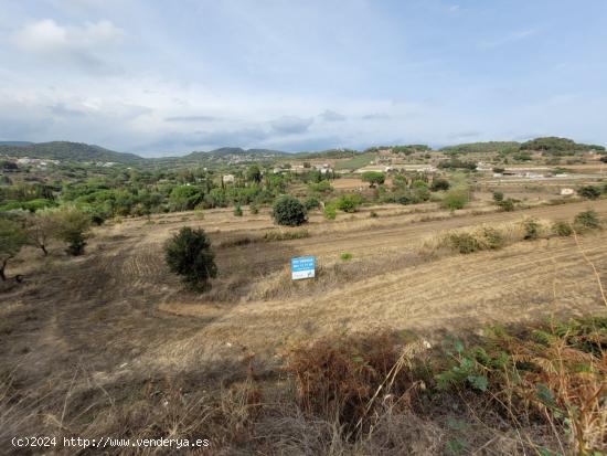 Terreno rústico urbanizable en Pla de Palou - Caldes de Montbui - BARCELONA