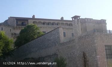 VENTA-SOLAR URBANO-SANTA MARIA LA REAL DE NIEVA - SEGOVIA