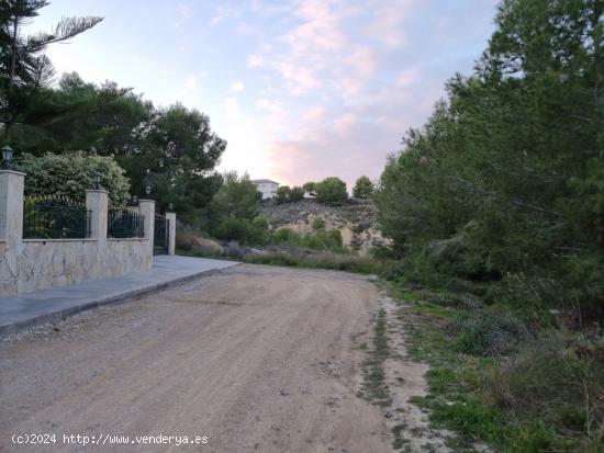 Casa Independiente Con Piscina ,Murcia ( Cañada de San Pedro) - MURCIA