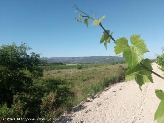 CASTELLÓ DE RUGAT (VALENCIA) - GRAN PARCELA - SE VENDE - VALENCIA