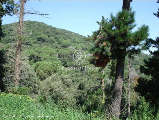 Terreno con parcela urbana en el Golf Vallromanes - BARCELONA