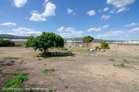 Terreno en venta en camino Pla de la Torreta en Sant Andreu de Llavaneres - BARCELONA