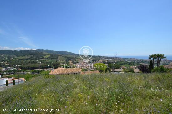 Gran terreno en venta con vistas al mar y a las viñas de Alella - BARCELONA