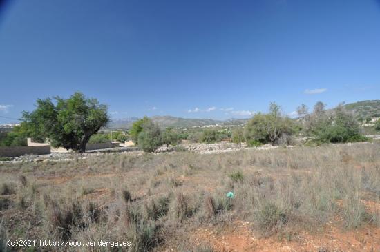  MUY BUENA Y PLANA PARCELA RURAL CERCA DEL PUEBLO DE BENISSA - ALICANTE 