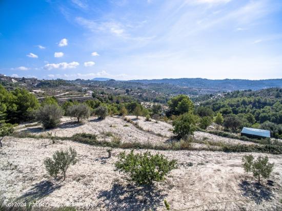 PARCELA RÚSTICA CON HERMOSA VISTA ABIERTA EN BENISSA - ALICANTE