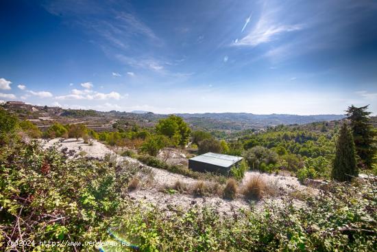 PARCELA RÚSTICA CON HERMOSA VISTA ABIERTA EN BENISSA - ALICANTE