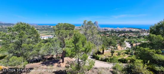  GRAN PARCELA CON VISTAS PANORÁMICAS EN CALPE - ALICANTE 