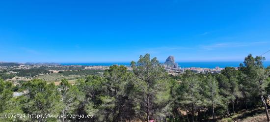 GRAN PARCELA CON VISTAS PANORÁMICAS EN CALPE - ALICANTE