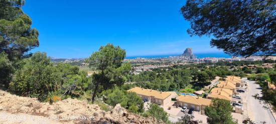 GRAN PARCELA CON VISTAS PANORÁMICAS EN CALPE - ALICANTE