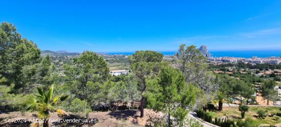 GRAN PARCELA CON VISTAS PANORÁMICAS EN CALPE - ALICANTE