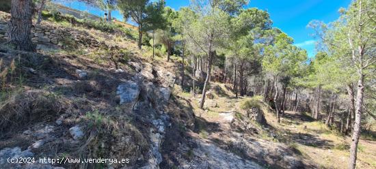 PARCELA CON VISTAS PANORÁMICAS EN CALPE. - ALICANTE