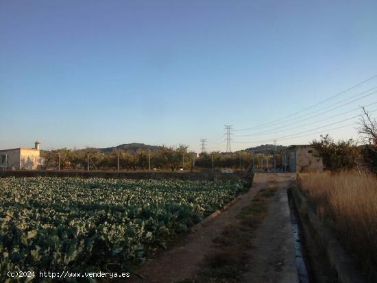 CAMPO VALLADO, CON NARANJOS Y CASETA PARA APEROS - VALENCIA