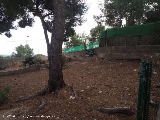 TERRENO URBANO EN URBANIZACIÓN DE CASINOS - VALENCIA