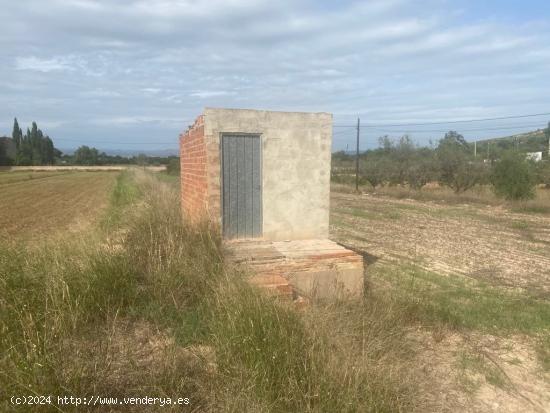 CAMPO DE TIERRA CON MUY BUENA COMUNICACION - VALENCIA