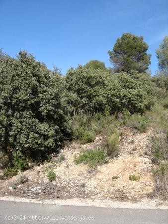  PARCELA EN NUEVA SIERRA, ALBALATE DE ZORITA - GUADALAJARA 