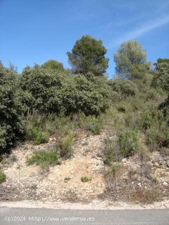 PARCELA EN NUEVA SIERRA, ALBALATE DE ZORITA - GUADALAJARA