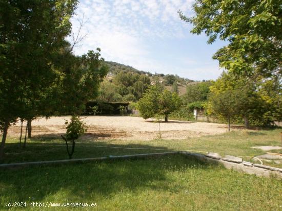 ESTUPENDO CHALET CON PISCINA, HUERTO, FRUTALES Y MINI GRANJA GALLINA, CONEJOS. - GUADALAJARA