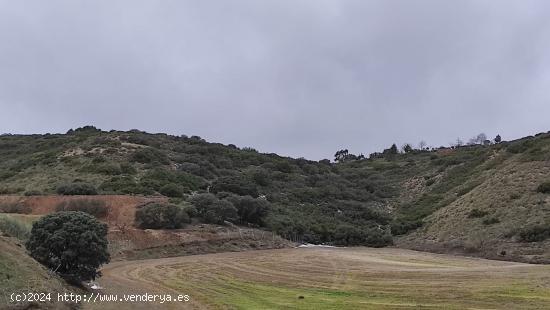 TERRENO RURAL EN DEHESA DE LOS HUEROS - MADRID