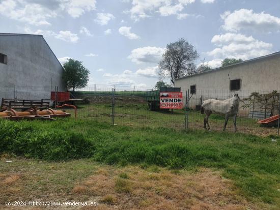  Gran Oportunidad de Parcela en Pioz en polígono agropecuario - GUADALAJARA 