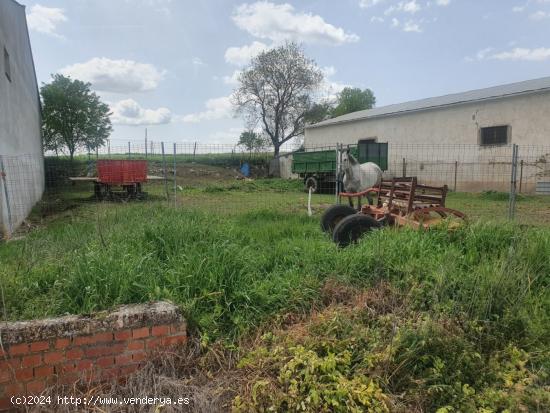 Gran Oportunidad de Parcela en Pioz en polígono agropecuario - GUADALAJARA