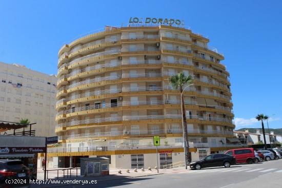  Local comercial Playa de Gandia - VALENCIA 