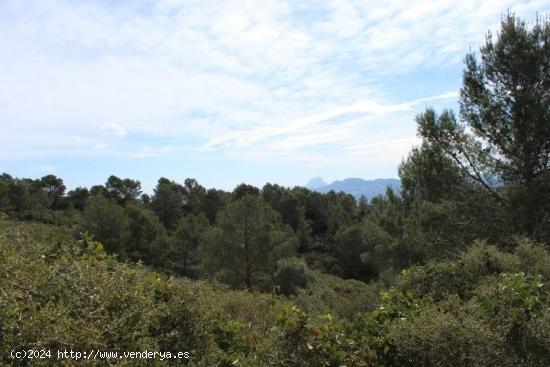 Finca rústica en Oliva - VALENCIA