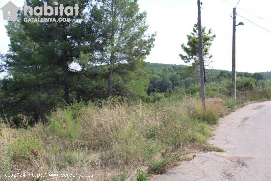 TERRENO URBANIZABLE DE 574 M CON ACCESO ASFALTADO - BARCELONA