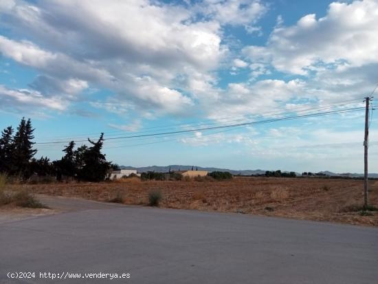 TERRENO RUSTICO -AGRARIO EN LA PUEBLA - MURCIA