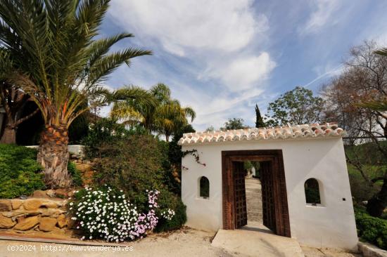 MARAVILLOSA FINCA EN ALORA - MALAGA