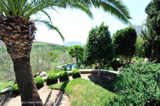 MARAVILLOSA FINCA EN ALORA - MALAGA