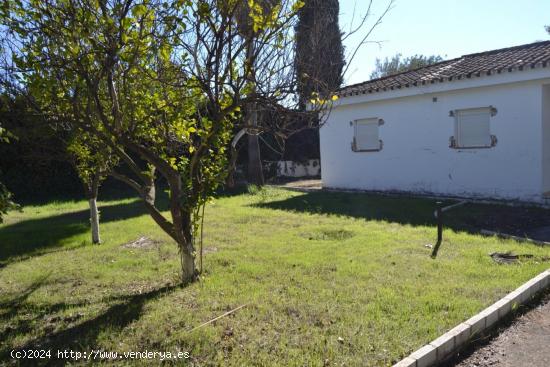 PARCELA URB. EL SANTISCAL, ARCOS DE LA FRONTERA (CÁDIZ) - CADIZ