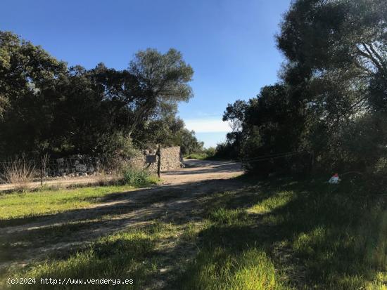 Terreno urbanizable de 37.808m2 entre Petra y Sant Joan - BALEARES