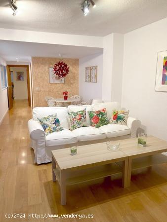 Se alquila Precioso Apartamento en Centro de Alicante - ALICANTE