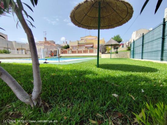  BUNGALOW CON GRAN SOLARUIM CON CASA DE MADERA. PISCINAS COMUNITARIAS. - ALICANTE 