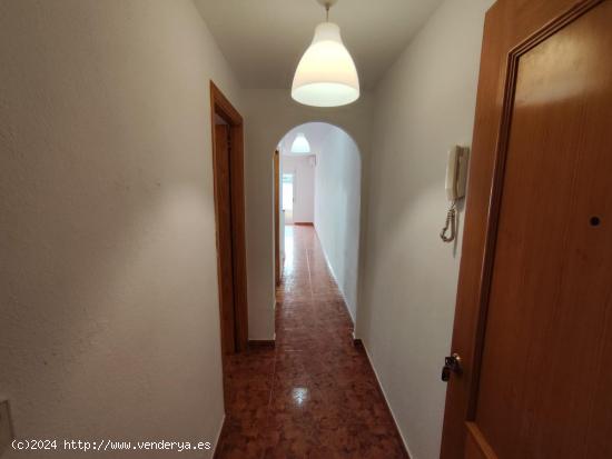 APARTAMENTO EN EL CENTRO DE TORREVIEJA. A 500 METROS DEL PUERTO. 2 DORM. 62 M2. - ALICANTE