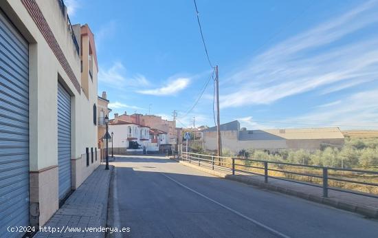 Local comercial 300m. - GRANADA