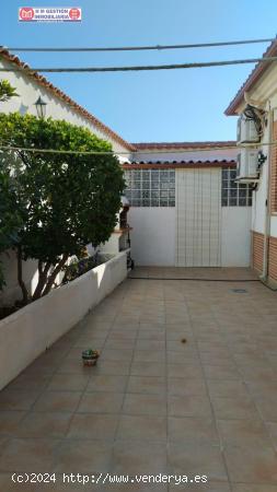 VENTA DE CHALET EN PEDRO MUÑOZ - CIUDAD REAL