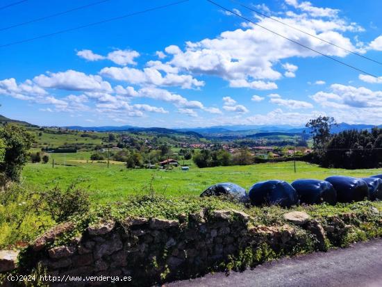 FINCA RÚSTICA EDIFICABLE EN CERRAZO.- - CANTABRIA