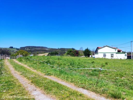 FINCA RÚSTICA EDIFICABLE EN CERRAZO.- - CANTABRIA